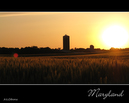 06_maryland_sunset